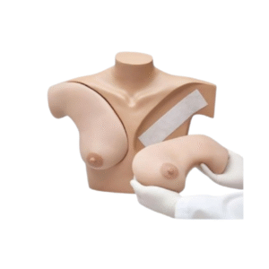 Breast palpation model