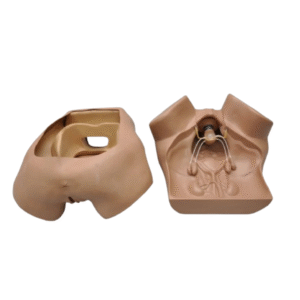 Mom Zoe Gynecologist