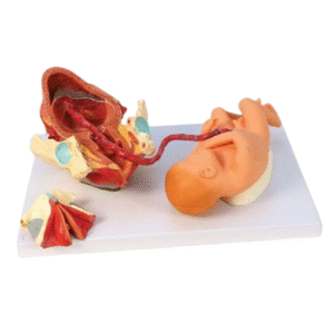 Mom Zoe giving birth